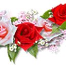 팔룡동284 이미지