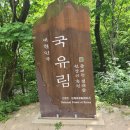인제 연가리 오토캠핑장 펜션 이미지