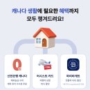 허니통신 | 캐나다 노스밴쿠버 딥코브 액티비티 모음 (+ 야외 라이브 일정, 프리티 캐나다 통신 체크 시리즈)