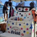 스팟투어 | 미야코지마 PADA 야비지 투어 후기｜인생 스노쿨링 스팟 갱신 후기