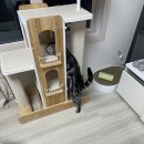 리틀캣 | [내돈내산] 펫코본 캣타워 구매 후기