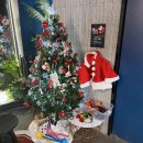 보배하이마트 | 밀리고 밀려버린 25년의 12월,,(feat.트리사냥꾼)