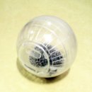 공굴러 가유 이미지