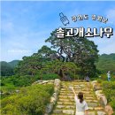 솔고개로 이미지