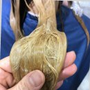 군산미용실 살롱드폴
