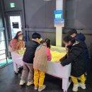 샘물숲어린이집 이미지