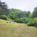 그린조경