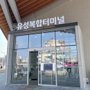 복합터미널 | 유성복합터미널 후기 주차 예매 시간표 시설 꿈돌이 굿즈샵 정리