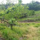 창녕부동산중개 이미지