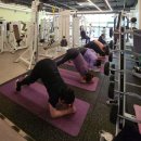 Wayfit PT 이미지
