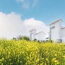 꼬뜨도르 가족호텔 이미지