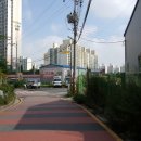 동탄이화유치원 | 신선한 채소와 과일사러 화성로컬푸드직매장 능동점