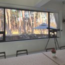 힐링강릉 | [포레스테이 디럭스룸1 후기]소나무 산책로 걸으며 힐링하는 뚜벅이 커플 강릉 숙소 추천