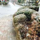 일산우동포차 이미지