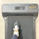 H.FIT 운동센터 | 킹스미스 접이식 워킹패드 Z1F 가정용 초슬림 러닝머신으로 홈트 추천 후기