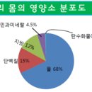 디데이핏 이미지