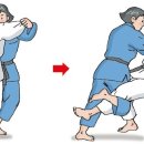 청춘유도관 이미지