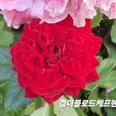 로드헨