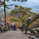 🍁최고의 단풍 운악산 감동의 물결 이미지