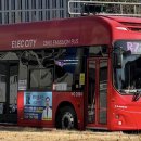 동일운수(자) 이미지