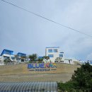 블루아라 | 여수 화양면풀빌라 : 투명카약을 무료로 탈수있는 [블루아라 풀빌라 펜션]