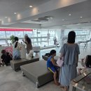 이쁜개 애견샵 | 대구애견미용학원 가위컷 전문, 6살 코코 · 1살 코코 · 6살 백송이의 심쿵 변신 후기!