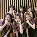 플틴
