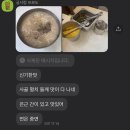 천마문화사 이미지