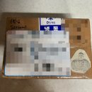 [근황 일기] 대하축제🦐🦐 그리고 글램핑까지. 가을 여행은 행복이지