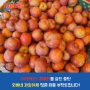 오빠네과일야채 이미지