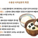 수용성 식이섬유의 특성 이미지