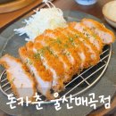매곡초교 | 울산 매곡 돈까스 전문점 돈카춘 울산매곡점 방문후기