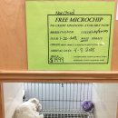 J.K 농장 이미지