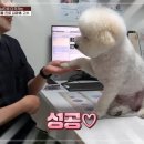 고수 동물병원 이미지