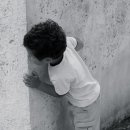 늙은 개 이미지