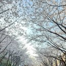삼성영어셀레나스마트해법수학학원 이미지