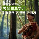 지열농장 | DAY7. 뉴질랜드 로토루아에서 하루 종일 놀고 먹기 (갈만한 곳 총정리)