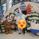 [상해인근타이창]알프스 스노우월드阿尔卑斯雪世界 눈썰매장 후기,이용팁