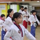 경희대정우태권도장 이미지