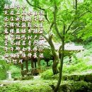 산앙정 이미지