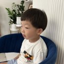 모모사진관 이미지