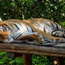 스핀오프 이미지