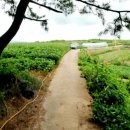 동령마을회관 이미지