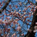 취간림화장실 이미지