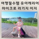 아기 캐리어, 유아 캐리어 마이 크로 러기지 이지 후기