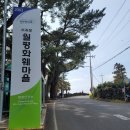 제주올레길 걷기 여행 7일차 후기