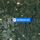 샘토명물닭갈비본점 이미지