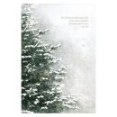 눈꽃나무 - 공주시 제민천1길 109 | 눈꽃나무