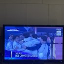 스텔라떡볶이광주주월점 이미지