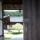 동백8로1 | 효종당 돌스냅 후기｜용인·수원 소규모 돌잔치 한옥스냅 추천